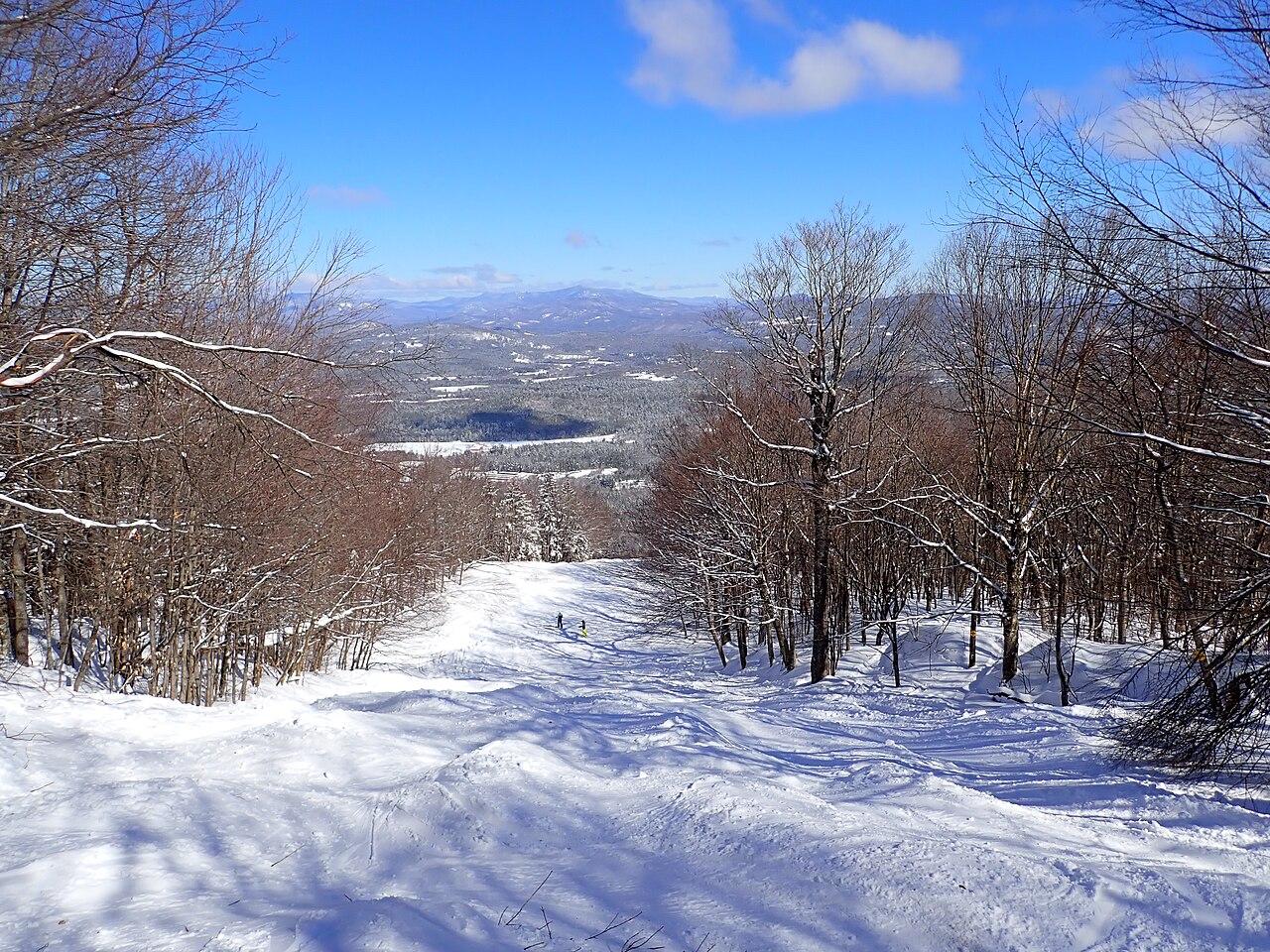 高山滑雪数据看板:用指标读懂一支队伍
